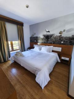Hotel Rural Sra De Pereiras - Vimioso - 6