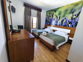 Hotel Rural Sra De Pereiras - Vimioso - 8