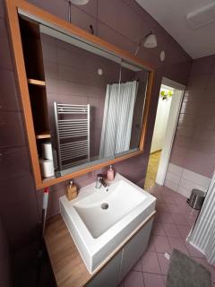 Larisa apartma - Domžale - 5