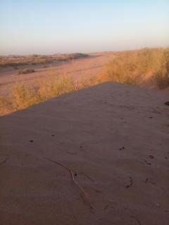 قصر الركابي - Mhamid - 3