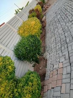 Kimberland Guest House Block 10 - Gaborone - 6