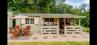Family friendly sunny Log Cabin - Wimborne Minster - 8