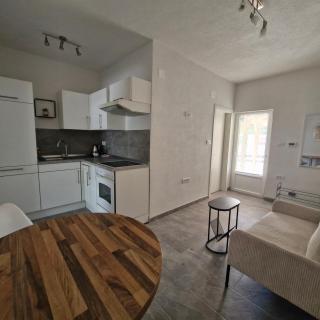 Vila Natasa Apartment 2 near Plitvice - Vrhovine - 4