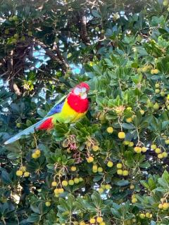 Manas Guesthouse - 3