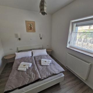 Vila Natasa Apartment 2 near Plitvice - Vrhovine - 7