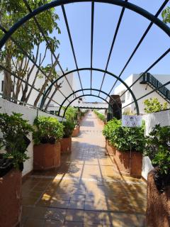 Marys Place - Costa Del Silencio - 0