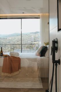 Quinta D'Joanes Douro - Resende - 1