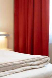 Autohof Hotel Salzbergen - Salzbergen - 9