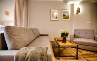 Comfortable apartment, sauna Żywiec Lake - Zarzecze - 7