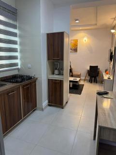 The Panache Luxury Apartment - Ikeja - 7