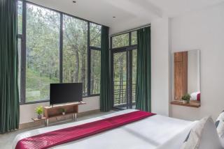kasauli hills by Hillcrest - Kasauli - 7