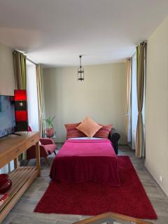 Maison Cocon Tout Confort et son Jardin privé - Villeblevin - 3