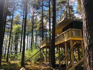 Treetops at Wildwoodz Off grid treehouse No electricity - 6