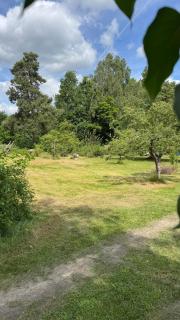 Privater Womo-Stellplatz im Wendland - Lüchow - 0