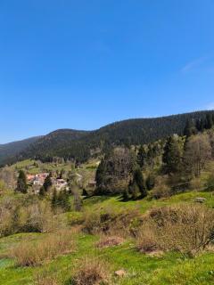 Gîte de Charme nature, calme, randonnée et air pur - Le Valtin - 2