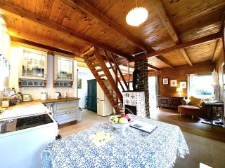 fairy tale cottage on water stream, 30 minutes from South Prague - Davle - 7