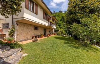 Il Pavone - 9