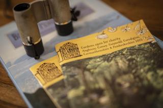 Creek Cottage - unique dog friendly cottage in beautiful woodlands - 5