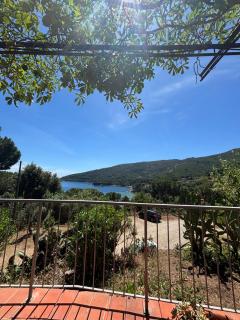 Casa Perla e Conchiglia - Porto Azzurro - 1