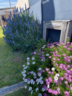 QUIBERON, maison 5pers, calme et lumineuse, commerces et plages à pied - 1