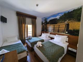 Hotel Rural Sra De Pereiras - Vimioso - 3