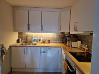Fully Furnished Studio Apartment - Trondheim - 1