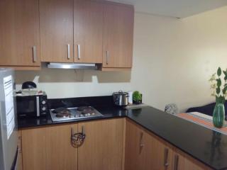 1046-2Br 2bed 1extra matress pool view with balcony - Manila - 1