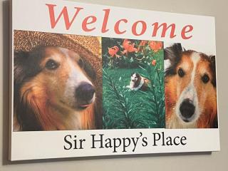 Sir Happy's Place - Elkins - 8