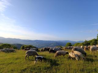 Visoko Pyramid VALLEY - Visoko - 4