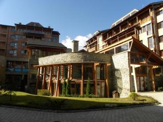 1BR Mountain View in Bansko - Bansko - 1