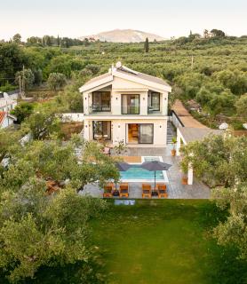The olive Nest Villa by "Elite" - Pandokrátor - 5