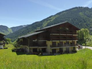 Studio cabine ensoleillé au pied des pistes avec terrasse, idéal pour famille et randonnées - FR-1-342-192 - Arêches - 0