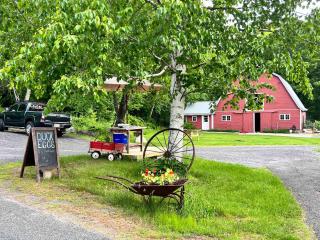 Charming, updated , 3 bedroom farmhouse farm stay - Williamsburg - 6
