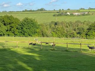 Hendre Glamping Retreat, The Wren's Nest - Clydey - 1