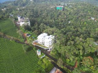 Sunrise Munnar - Anachal - 2