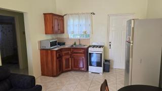 Wizzy Apartment White River - Ocho Rios - 8