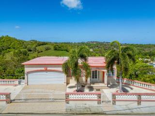 Tropical Paradise in Rincon - Aguada - 9