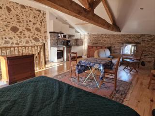 Gites De La Brunière - 2