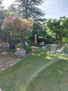 La Gineste - Serres - 9
