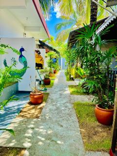 Cozy Sand Beach Hotel - Arugam Bay - 7