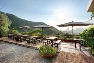 Agriturismo Barone Antonio Negri - Fisciano - 1