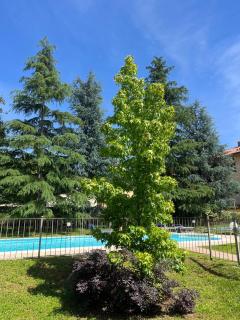 Esclusiva Mansarda Parco di Monza - Lesmo - 6