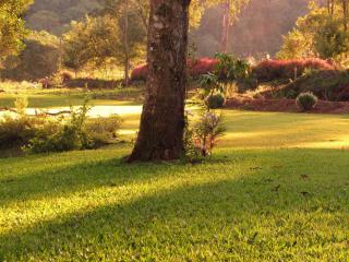 Refúgio no Bosque: Um lugar cheio de encantos - 2