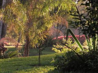 Refúgio no Bosque: Um lugar cheio de encantos - - 3
