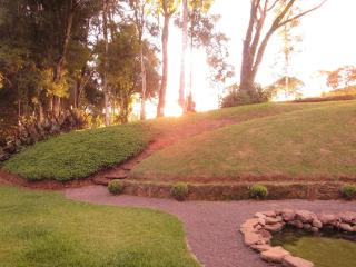 Refúgio no Bosque: Um lugar cheio de encantos - 1