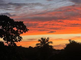 El Encanto Del Yunque - Jayuya - 1