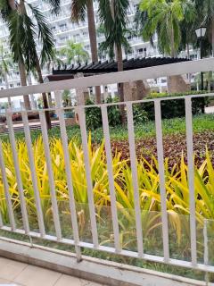 101-2Br-1bed quenn-1single-1-pullout 2 sofa 2-cr pool view with balcony - Manila - 1