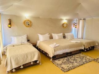 Luxury Sahara Camp - 1