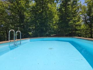 Gite la bleuet avec piscine - 8