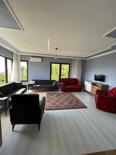 Magnificent nature, magnificent detached - Arsin - 7